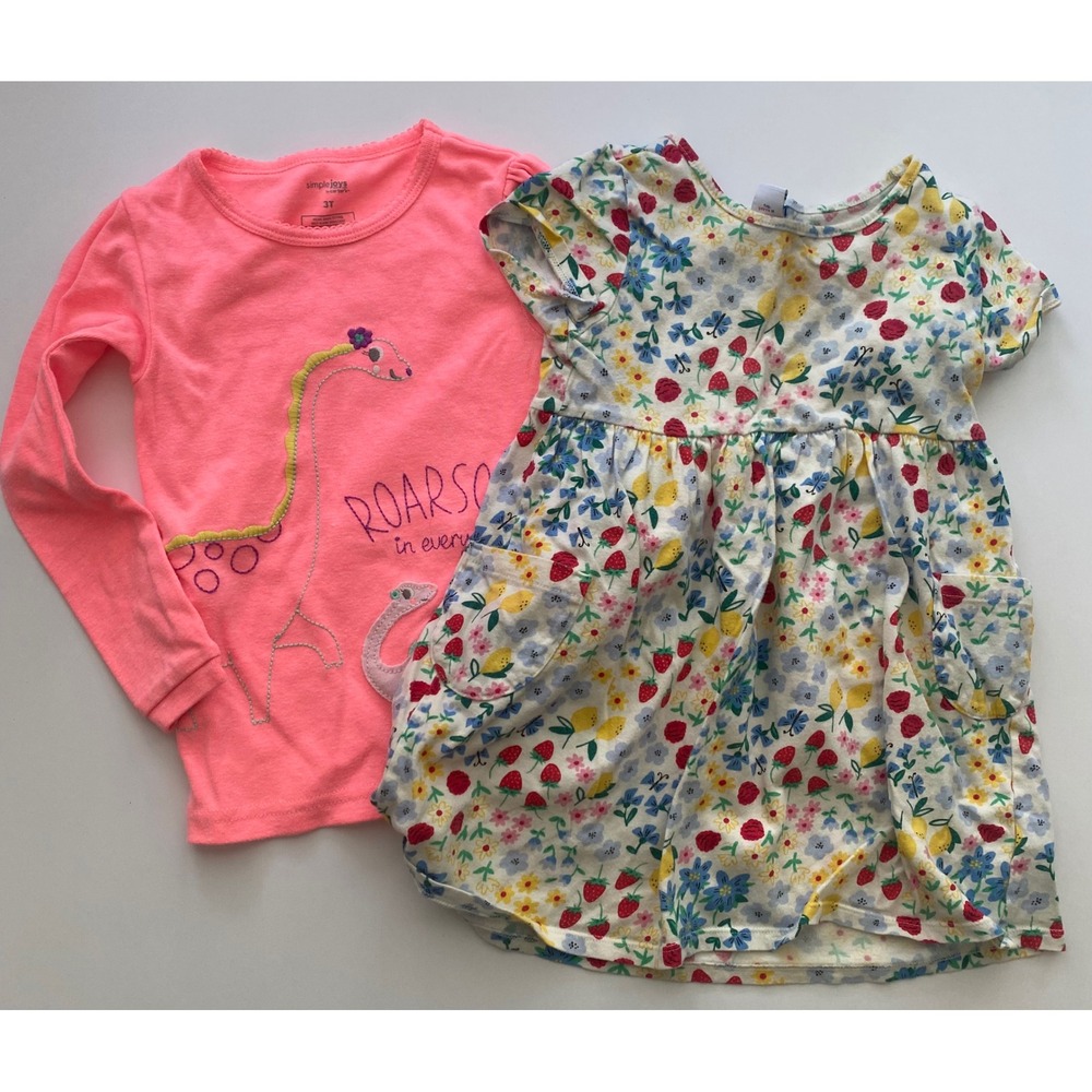 Simple Joys Carter's Old Navy Floral Dress & Dinosaur Top Outfit 3T